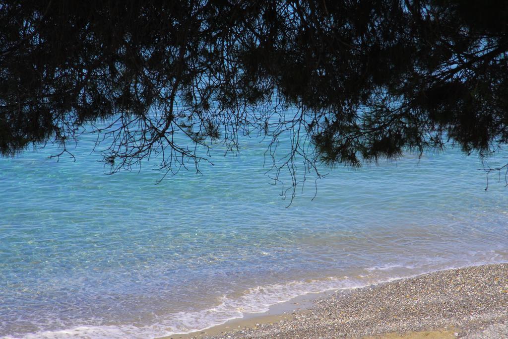 Lido Paradiso 3*